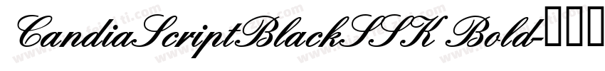 CandiaScriptBlackSSK Bold字体转换